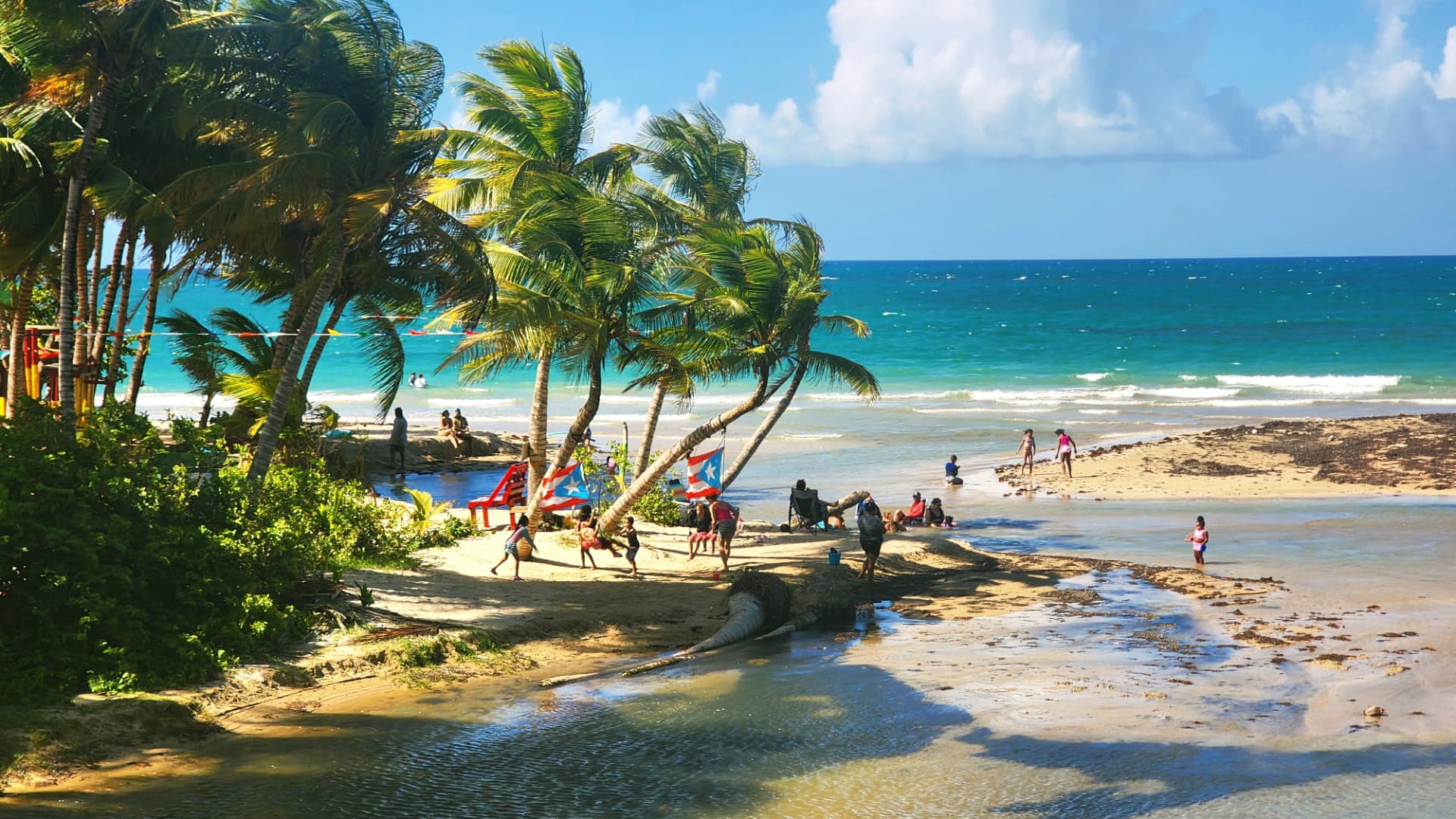 Palm-lined Puerto Rico beach with visitors and island flags on a bright day