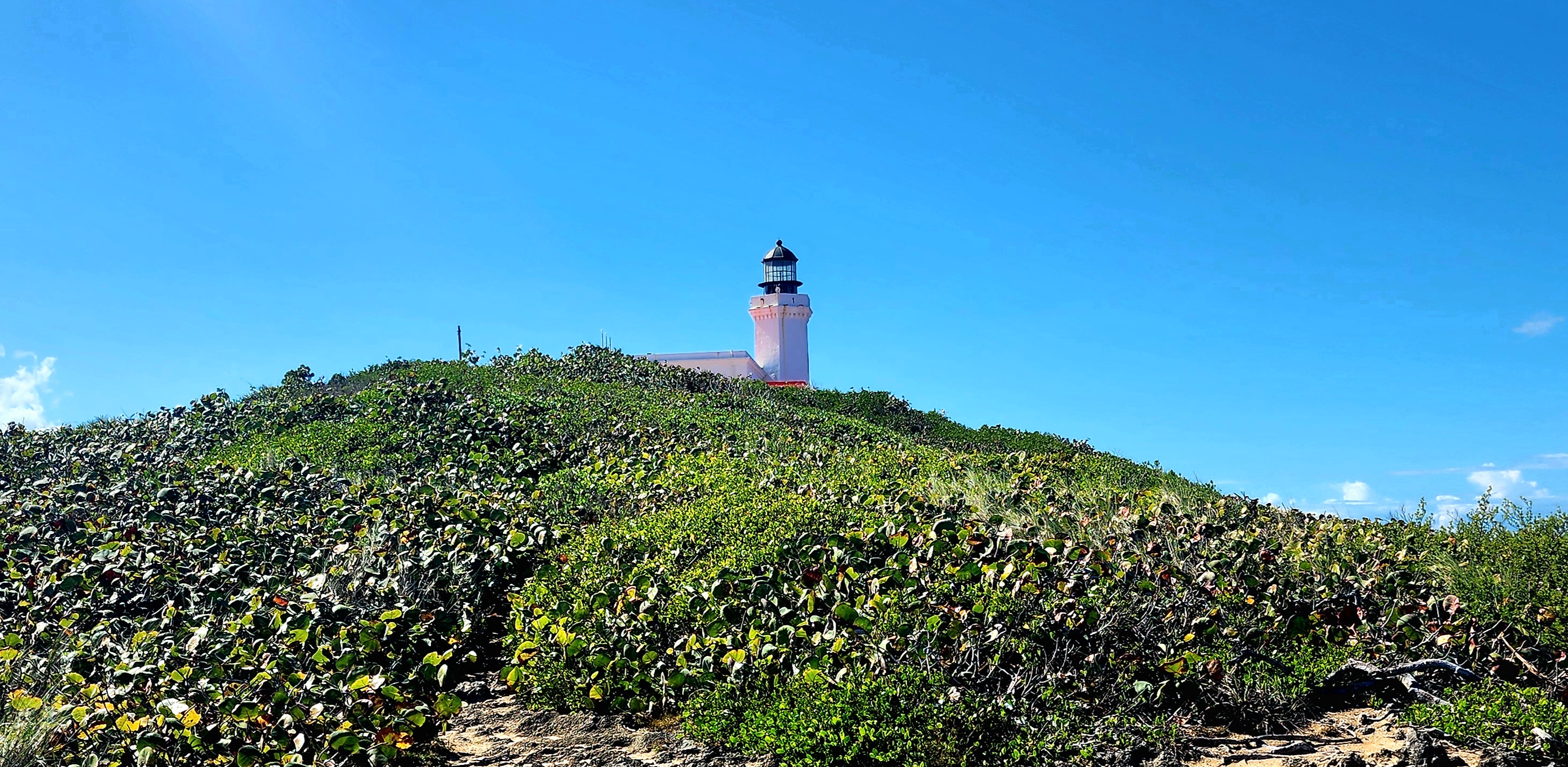 Additional coastal scenery from the San Juan Guided North Coast Tour