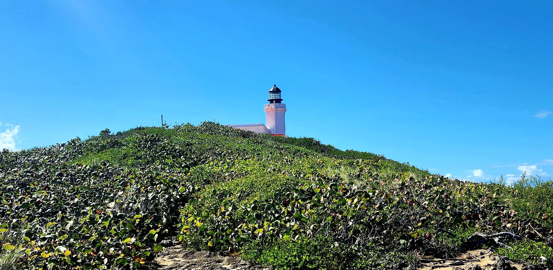 Additional coastal scenery from the San Juan Guided North Coast Tour