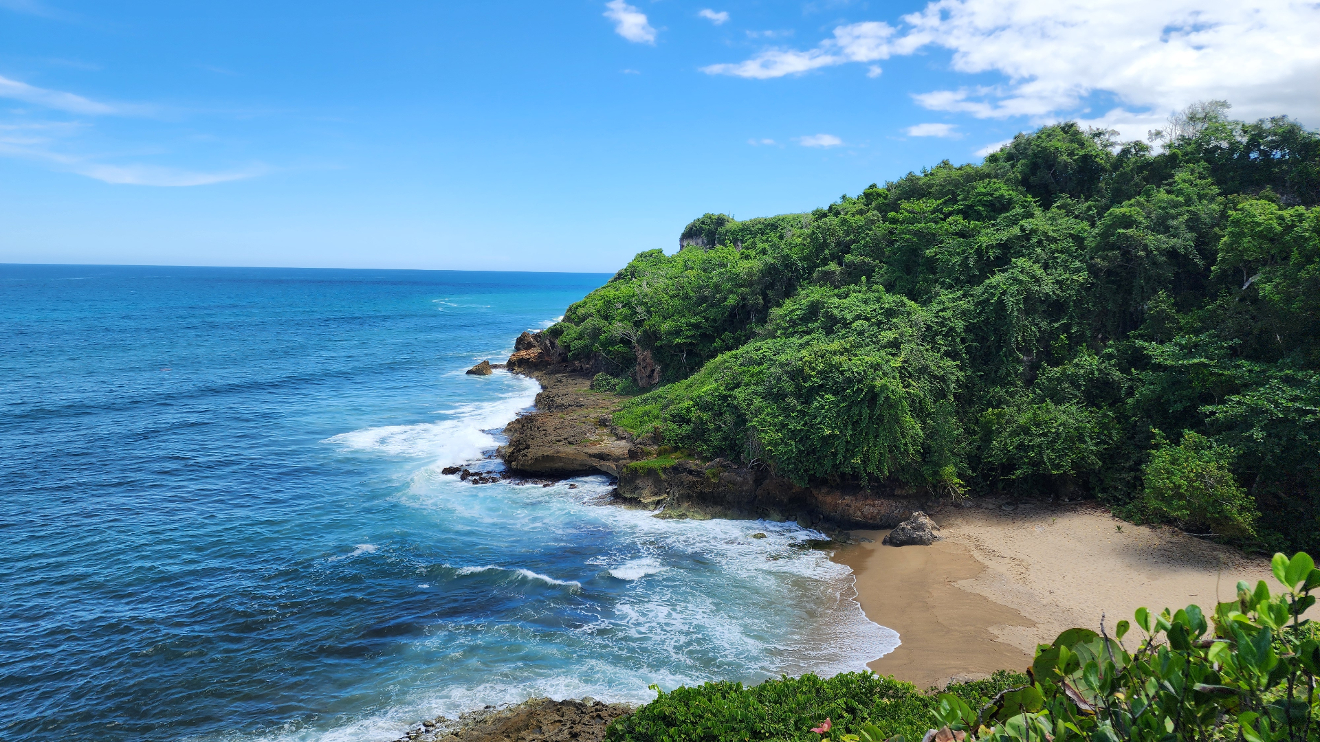 Guided North Coast Tour with Photo Stops