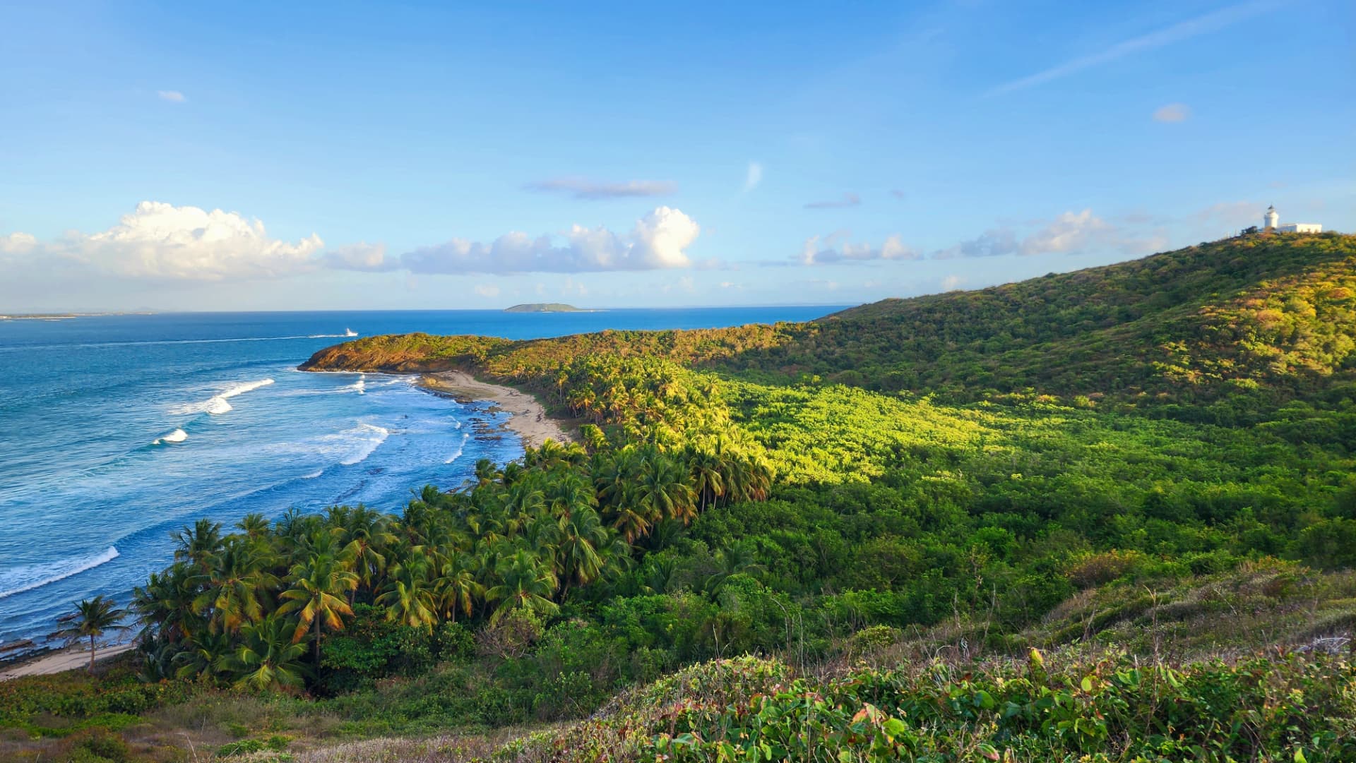 Coastal Puerto Rico landscape with palm forest, a sandy beach, and a hilltop lighthouse under blue skies